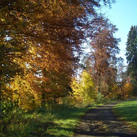 Geyerbad * Messstetten