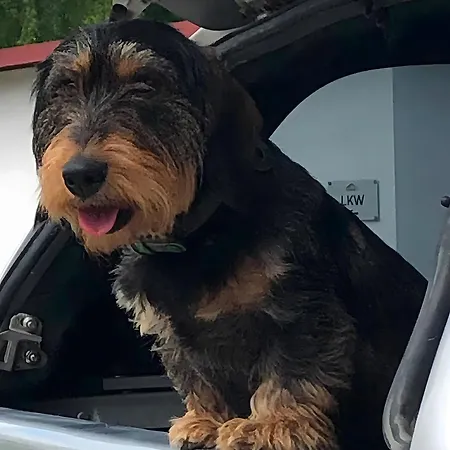 Geyerbad בית נופש *