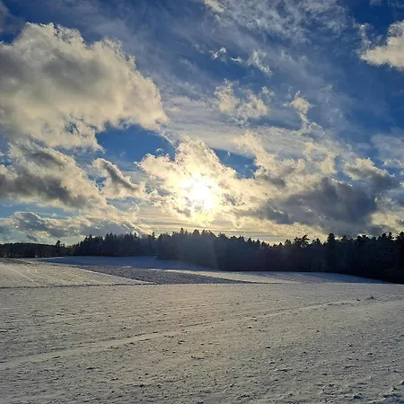 Geyerbad בית נופש Messstetten