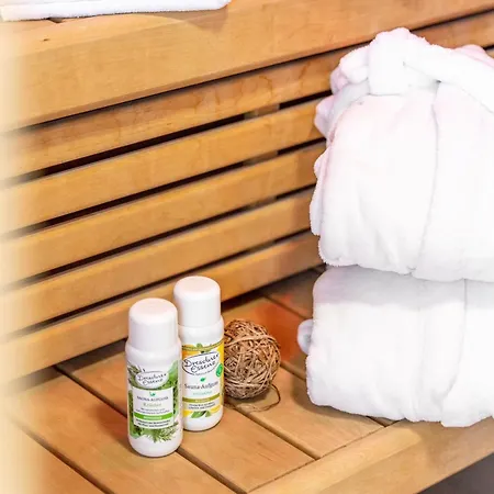 Geyerbad Mit Sauna بيت للعطل