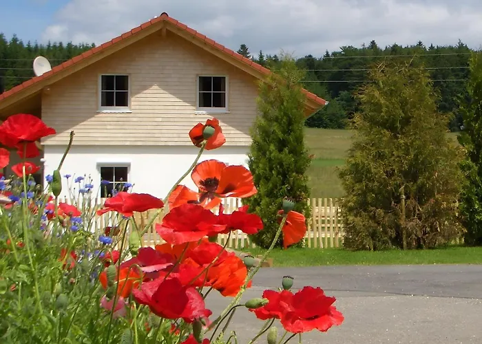Geyerbad Mit Sauna * Messstetten